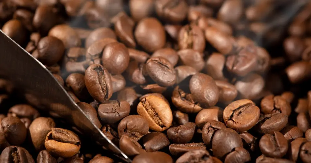 How To Find The Best Coffee Beans, Australia 2022 - Australian Coffee Lovers